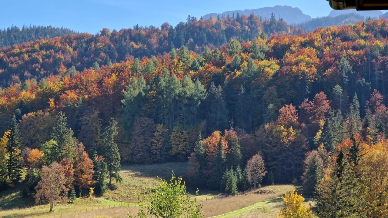 Apartamento Akra Zakopane Exterior foto